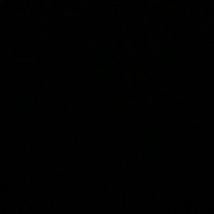 Meet your Posher, Carson